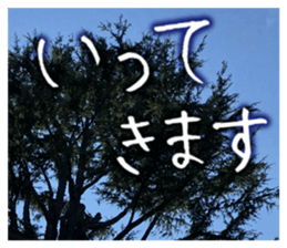 710336345