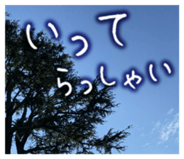 710336346