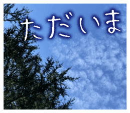 710336347