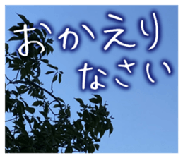 710336348