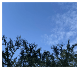 710338187