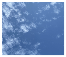 710338195