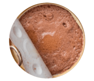 710388442