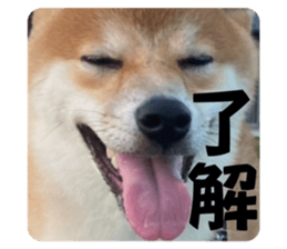 710408615