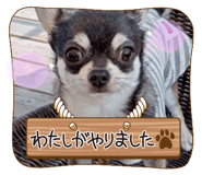 710437068