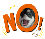 710437072