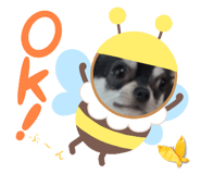 710437086