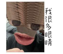 710451342