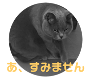 710475330