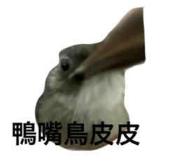 710510655