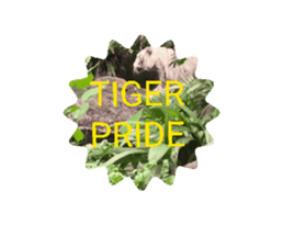 710510800