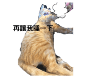 710522666