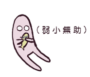 710526276