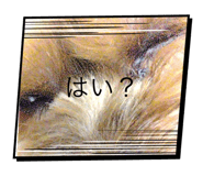 710535957