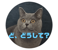 710556334