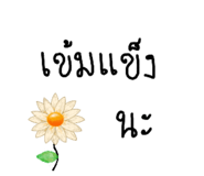 710568372