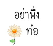710568375