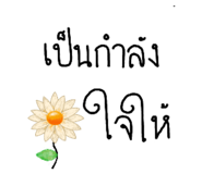 710568377