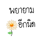 710568385