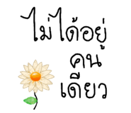 710568387