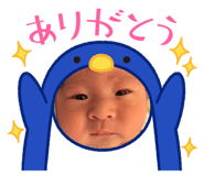710568653