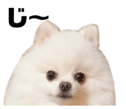 710568691