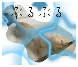 710610931