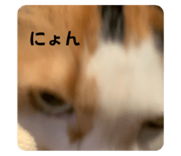 710621226