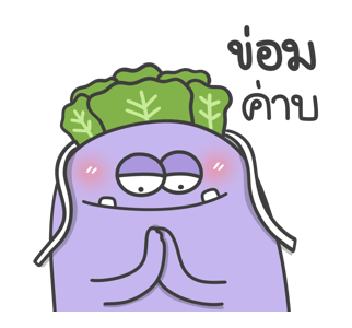ลายที่ 5