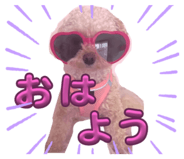 710643113