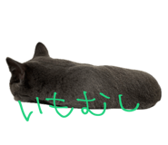 710644835