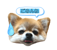 710660166