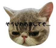 710673377