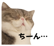 710673390