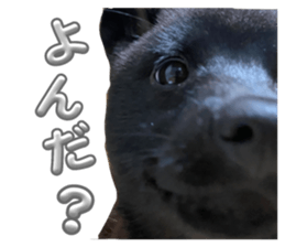 710688615