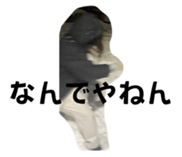 710689430