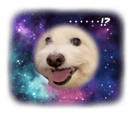 710695984