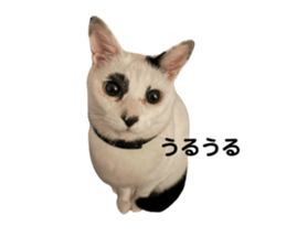 710702952