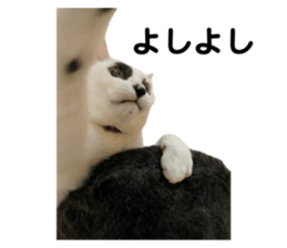 710702959
