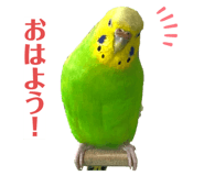 710709153
