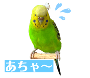 710709155