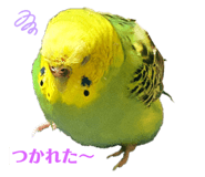 710709157