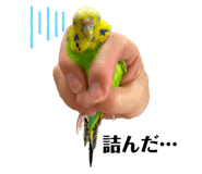 710709160