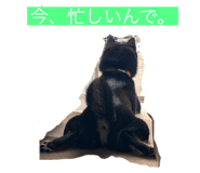 710709339