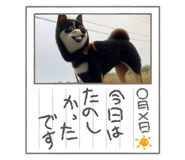710709344