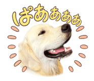 710710800