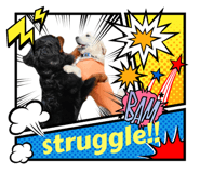 710710806
