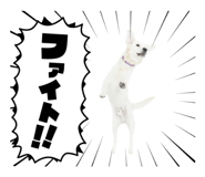 710710808