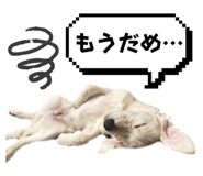 710710810