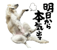 710710815